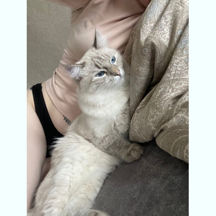 ��e ������� � �����e �op���� ����a��� 